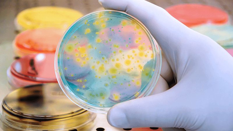 科研用生物试剂：价格背后的考量因素