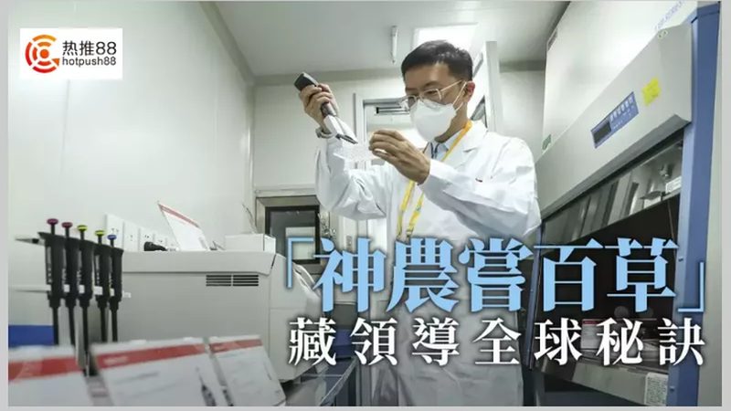 酶促反应：揭秘生物催化过程的精细步骤**