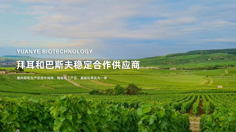 生物科技研发人员面试，这些关键点你准备好了吗？**