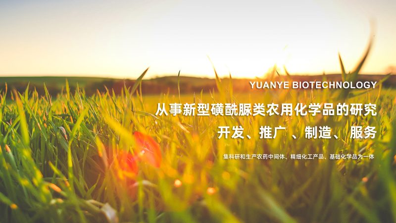 运动基因检测：揭秘其靠谱背后的科学**