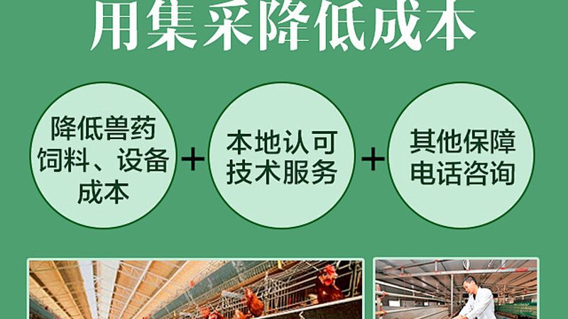 生物制品定制开发：揭秘定制化药物研发的奥秘**