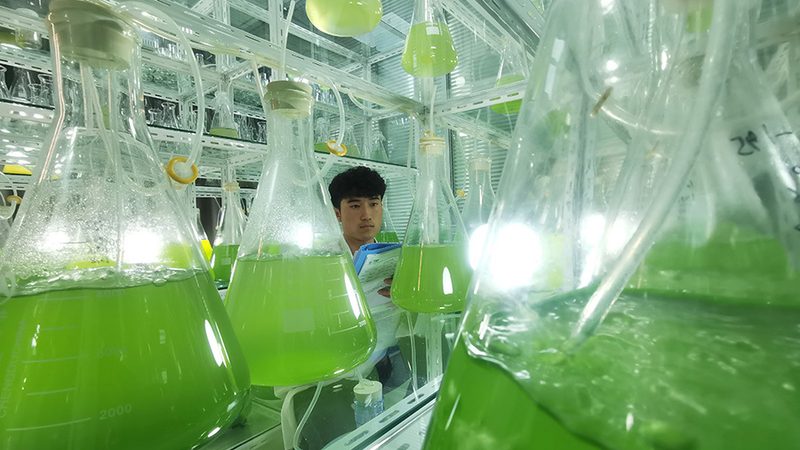 分子生物学试剂盒：规格分类与选购要点解析